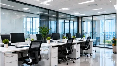 Professional Cleaning Services