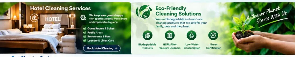 Professional Cleaning Services